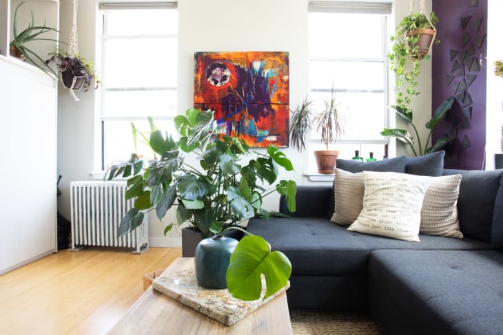 Plants are Complicated—But There’s One Easy Thing You Can Do That Every Houseplant Loves