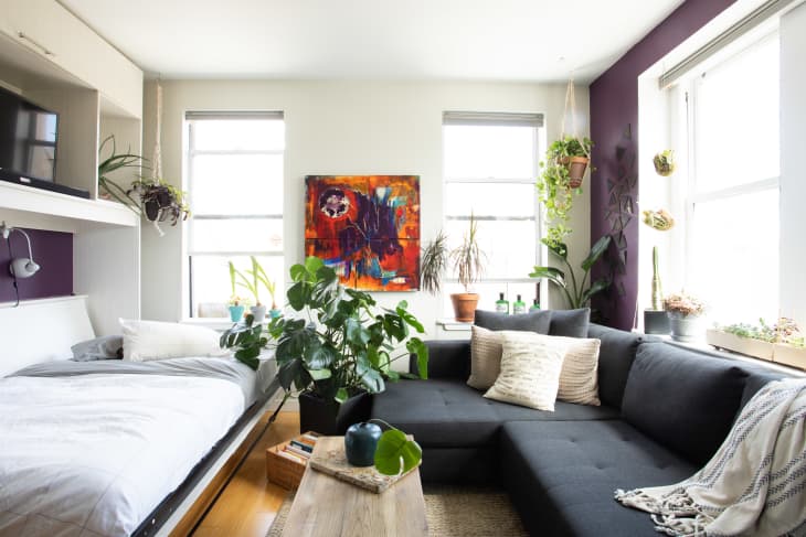 Studio apartment with a bed, dark gray sectional sofa, vibrant abstract painting, and various potted plants.