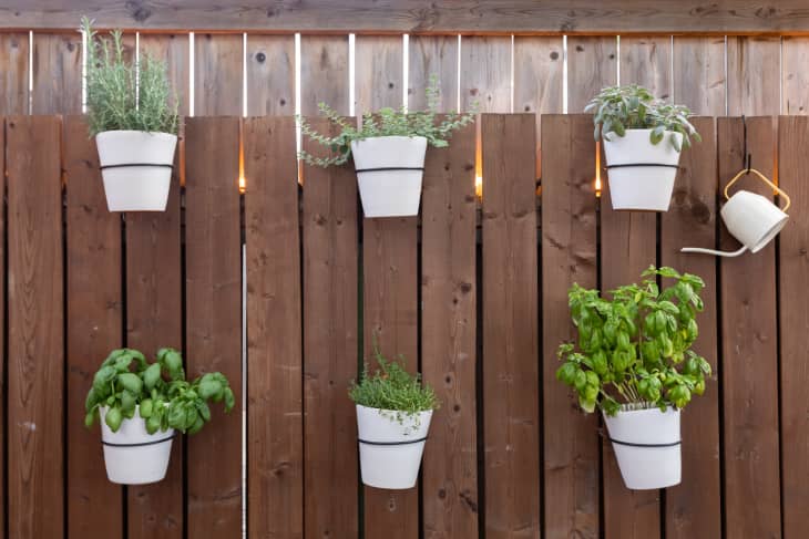 Container Veg Gardening: 30 Edibles To Grow In Pots & Why You Should