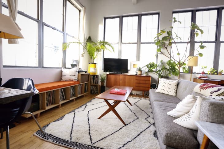 Bright living room with gray sofa, wooden coffee table, TV, large plants, and a patterned rug.