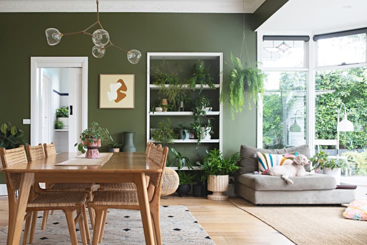 Dining room with green walls, wooden table, wicker chairs, plants, and a cozy nook with a dog on a gray sofa.
