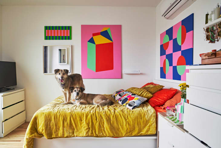 Two dogs on a bed with yellow bedding, surrounded by colorful geometric art and modern decor in a bright room.