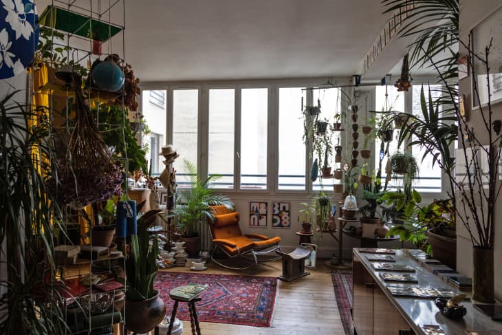 Room filled with hanging plants, an orange lounge chair, and a red patterned rug, with large windows in the background.