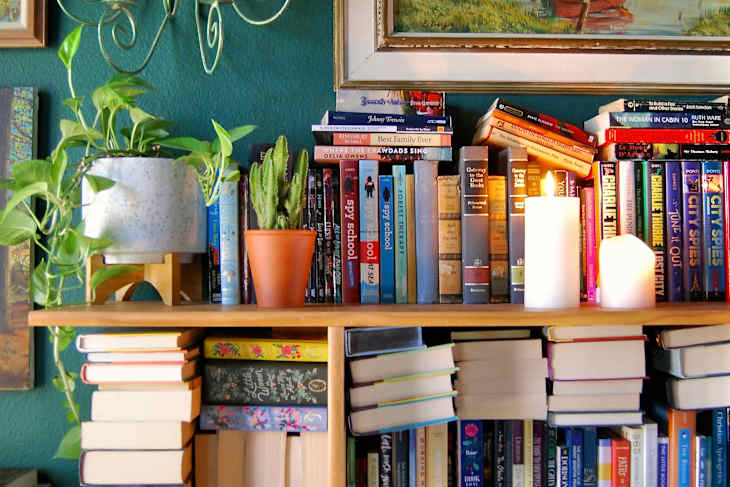books on wooden shelves with plants and candles