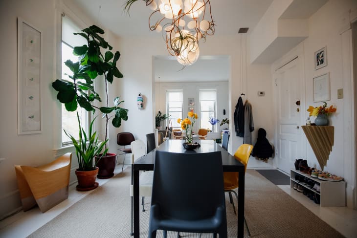 Plant filled ceiling light hung over dining room table.