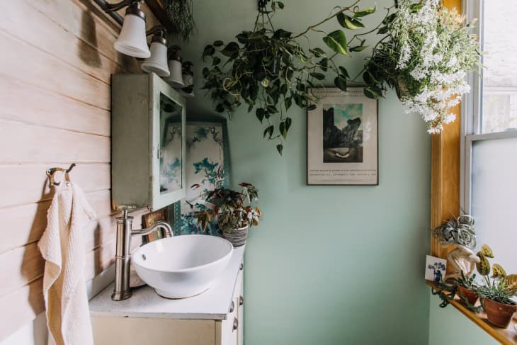 A pale green bathroom with lots of plants