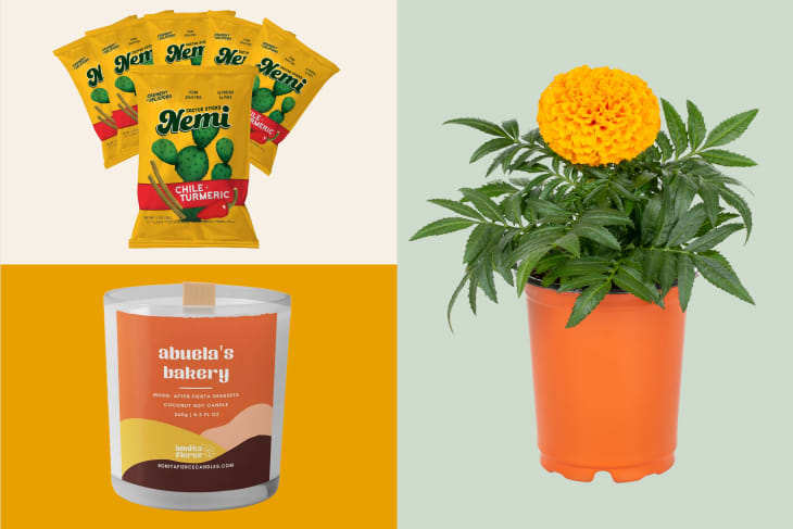 3 products on a colored background: cactus sticks, scented candle, marigold in a pot