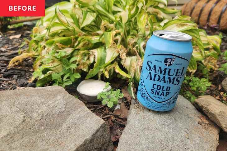 Beer can in garden.