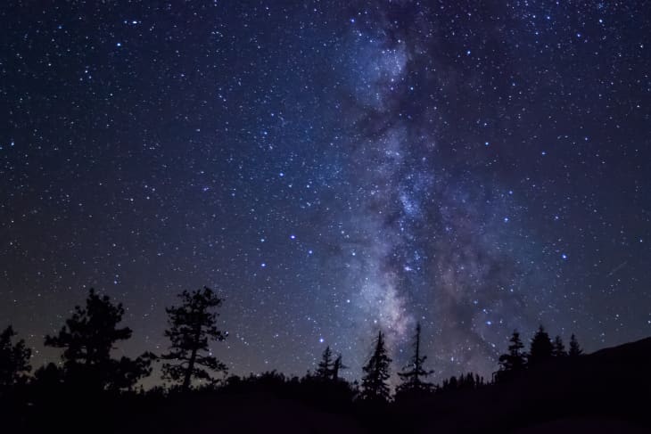 Starry night sky with Milky Way over silhouetted pine trees.