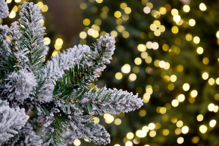 Tim McGraw đã giành chiến thắng với cây lớn của mình trong kỳ nghỉ Giáng sinh này. Cây thông lớn trang trí bởi anh ấy không chỉ đẹp mắt mà còn tràn đầy tình yêu và ý nghĩa. Hãy bấm vào hình ảnh để cảm nhận thêm sự ấm áp và ý nghĩa của cây thông lớn này.