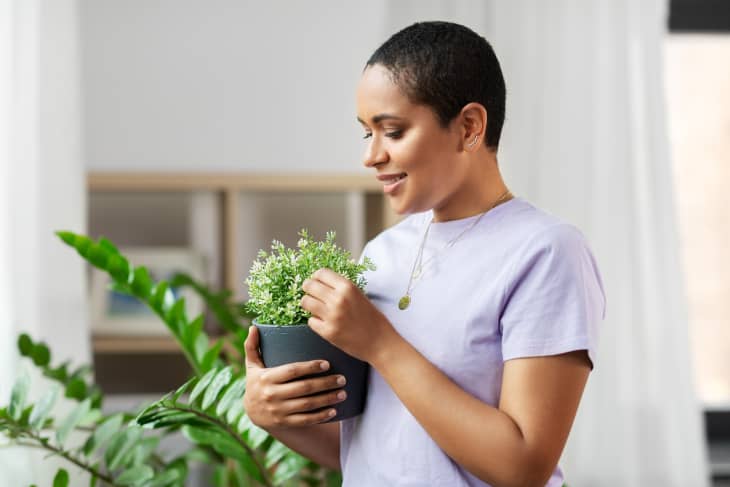 Black woman holding small green potted plant with white backdrop