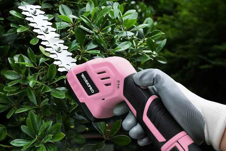 Workpro Cordless Grass Shear & Shrubbery Trimmer.