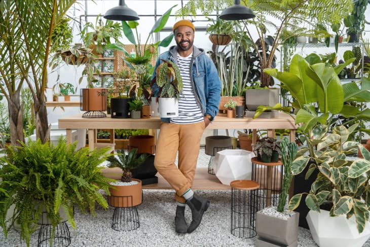 Fake Plants & Artificial Plants for Indoors : Target