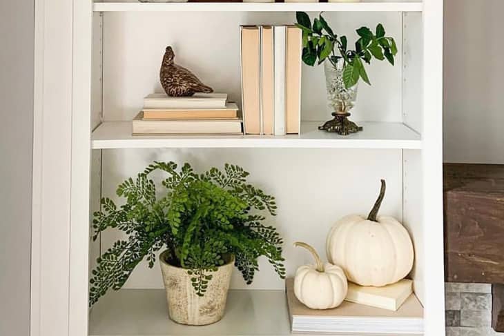 white shelves with books, plants, white pumpkins
