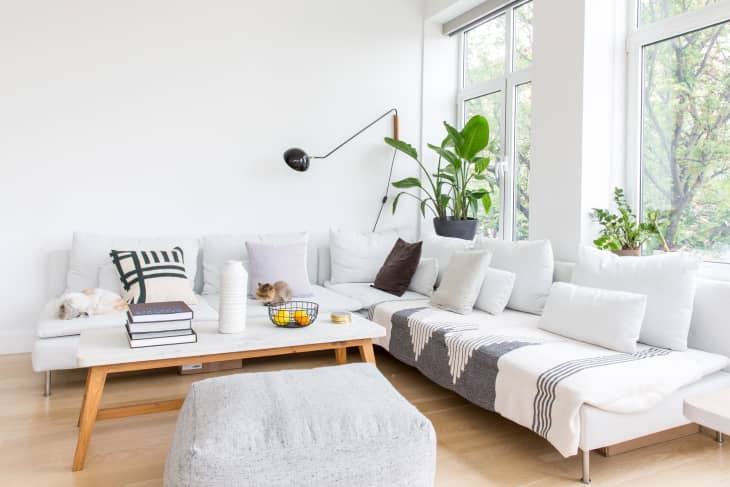 Apartment decor shopping on sale
