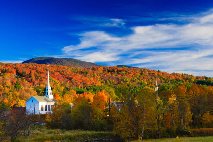 First day shop of fall 2019