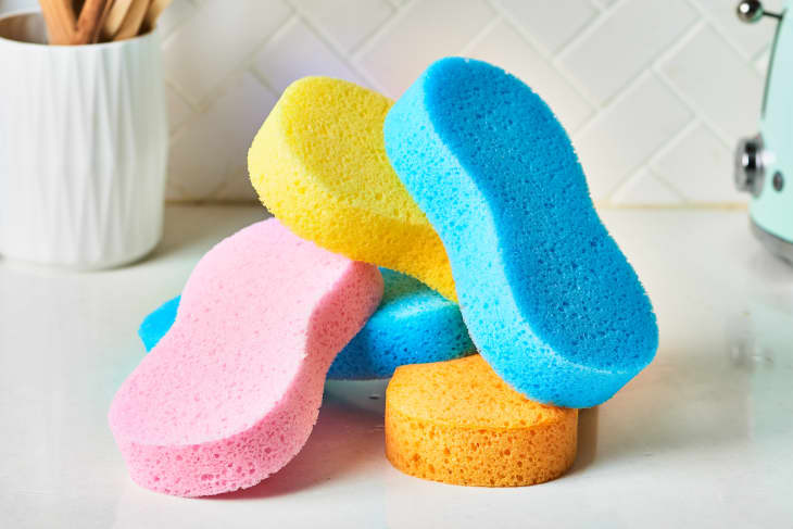 Different types of sponges for cleaning shop