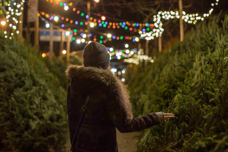 Home depot pre lit christmas tree outlet