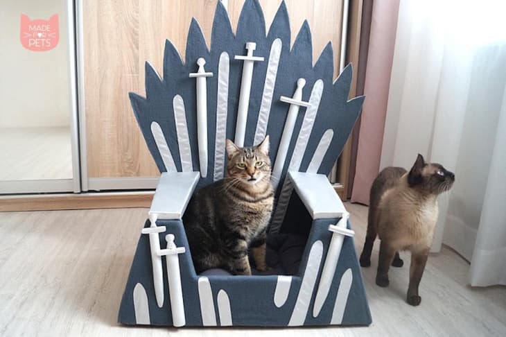 Iron throne pet bed clearance