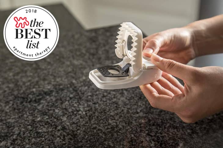Where to buy a mouse trap outlet