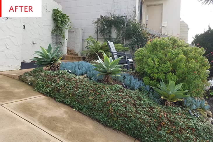 Before and After: A Front Yard Makeover With Massive Curb Appeal · Cỏ Dại