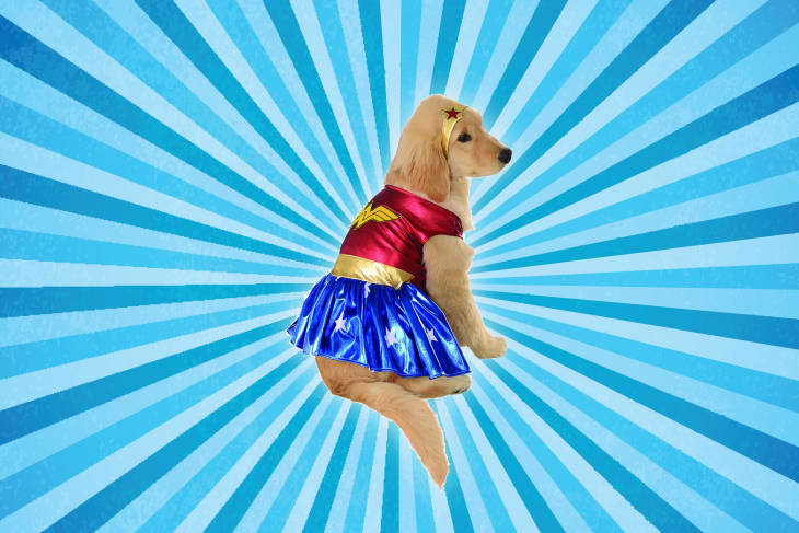Golden retriever hot sale costume for humans