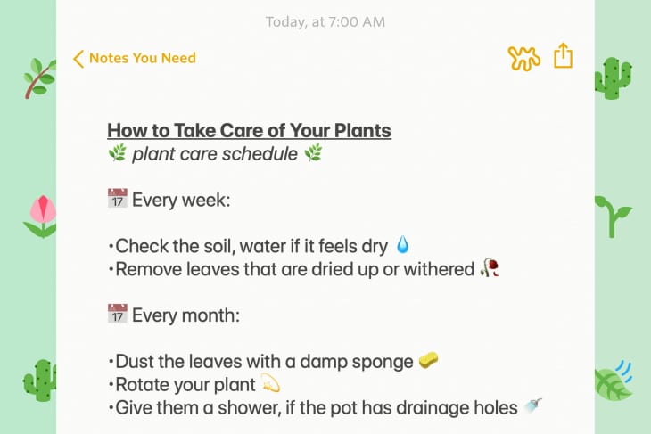 World Plant Checklist