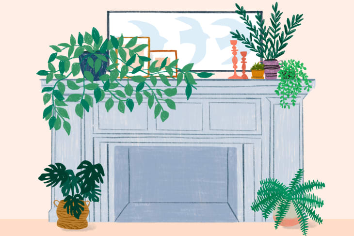 How to Style a Fireplace Mantel with Plants | Apartment Therapy