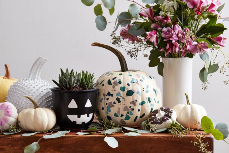 19 Creative Painted Pumpkin Ideas for No Carve Pumpkin Decor