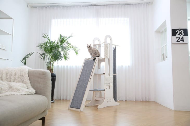 Fancy cat tower online