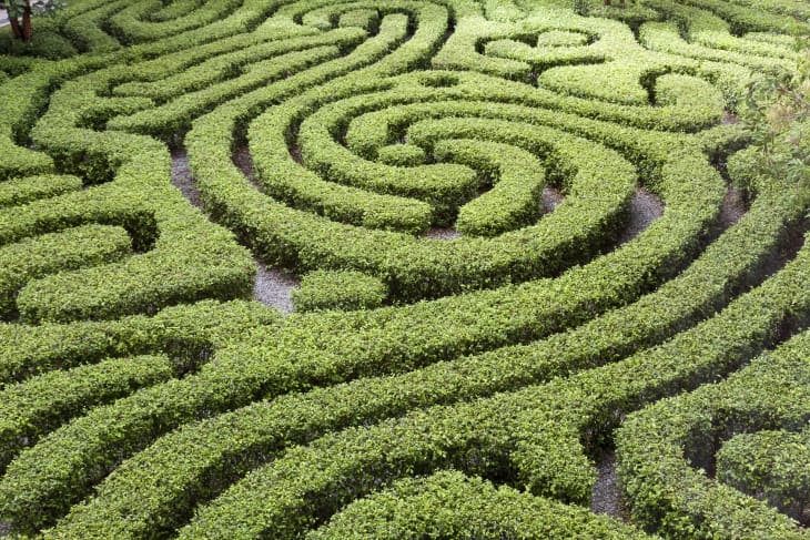 激安アウトレット Hedge Mazes May Be The New Public Parks | Apartment Therapy マジック：ザ・ギャザリング
