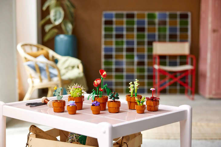 LEGO’S Tiny Plants Set Has Cacti and Jade Plants for $49.99 | Apartment ...