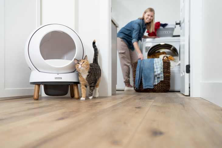 Perfect litter reviews top