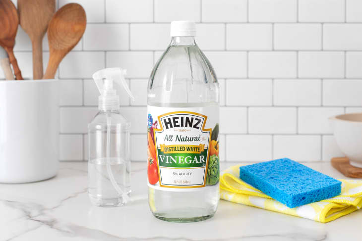 How to clean a deals sponge with vinegar