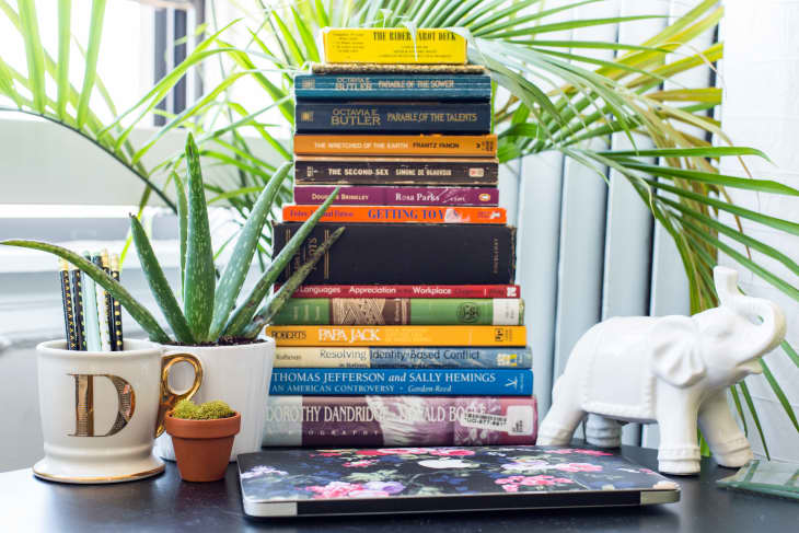 Stack of colorful books, aloe plant in a mug, small potted plant, and white elephant figurine on a desk.