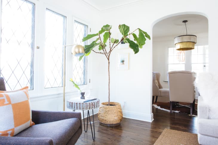Living room with a brown armchair, orange and white pillow, potted plant, and view into dining area with beige chairs.
