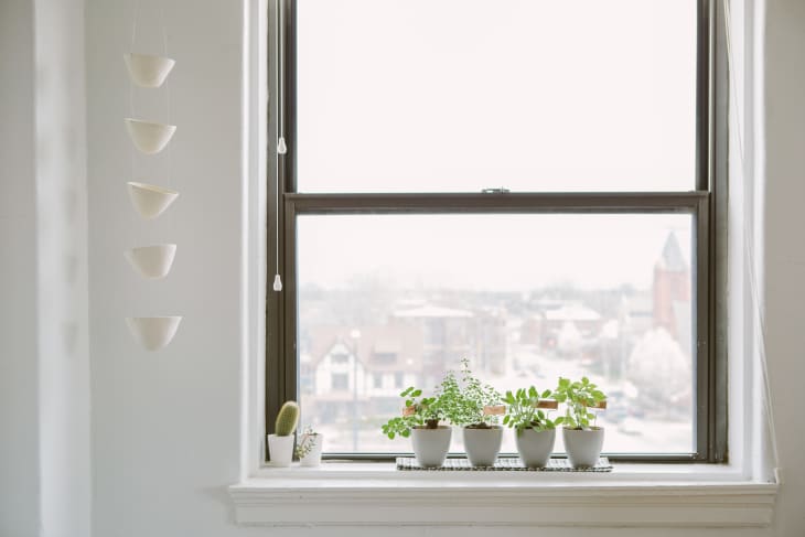 Potted plants on a windowsill with a view of a cityscape and hanging white bowls on the left.