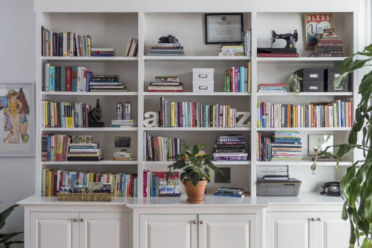 White bookshelf filled with books, vintage camera, typewriter, potted plant, and decorative items.