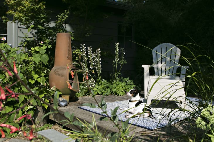 Patio with a white chair, terracotta chiminea, lush plants, and a small dog lying on a blue checkered rug.