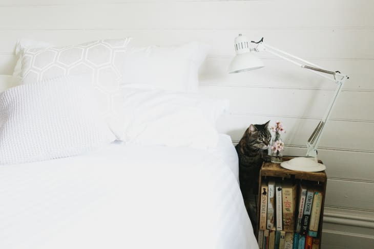 Bedside table with books, a white lamp, and a tabby cat next to a vase of flowers.