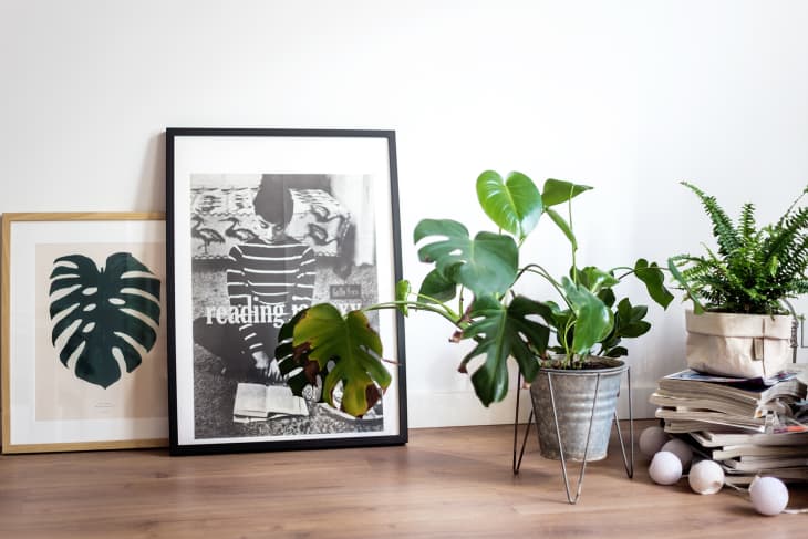 Framed art prints with monstera leaf and reading theme, next to potted plants and stacked magazines on a wooden floor.