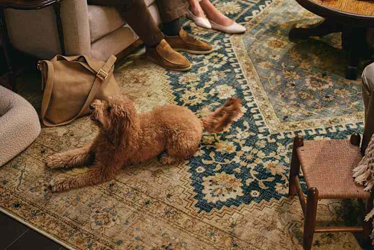 Ruggable rug with dog and view of people's feet/sofa
