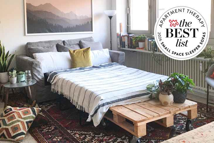 Cozy living room with a gray sofa bed, striped blanket, plants, and a wooden coffee table on a patterned rug.