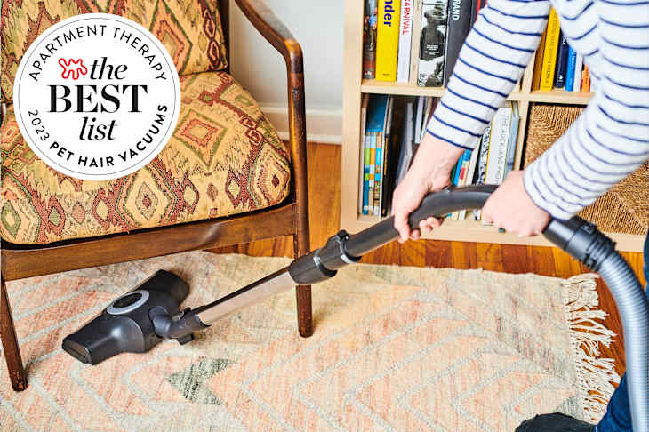 Best List seal for Pet Hair Vacuums. Person vacuuming rug in living room.