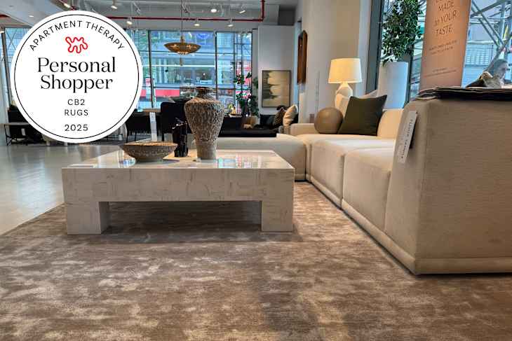 Living room/rug at the CB2 store with Personal Shopper seal in upper left