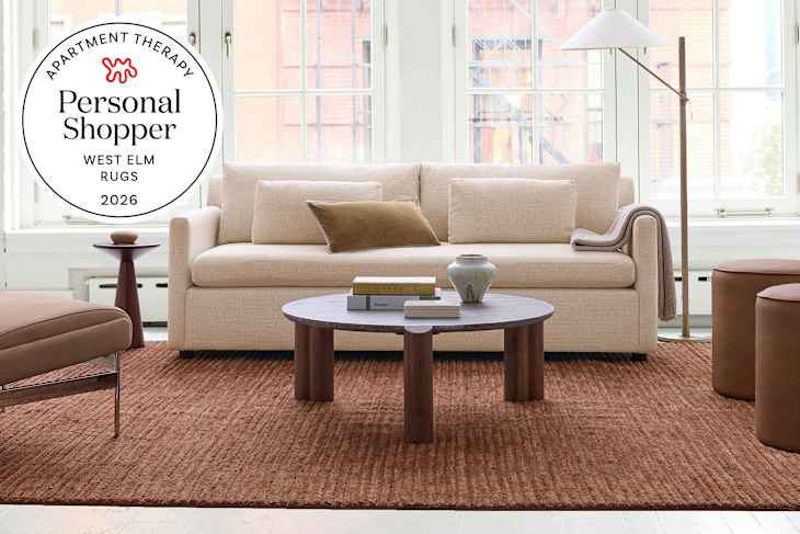 Living room with West Elm furniture and rug with personal shopper seal in upper left