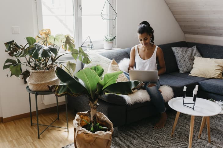 woman sitting on the couch at home using lapto