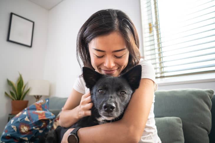 Young woman hugging dog on living room sofa