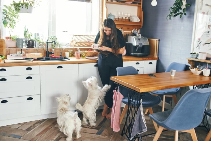 A young woman with long black hair stands in the kitchen with a cup of coffee and looks at her pet, white terrier, west highland dog.