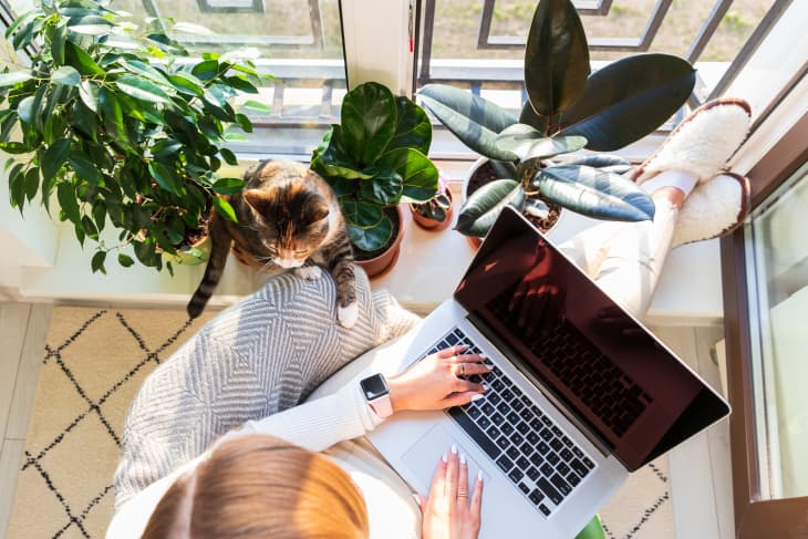 7 Work From Home Jobs That Can Elevate Your Career in 2022 (and Make You  Over $100K) | Apartment Therapy